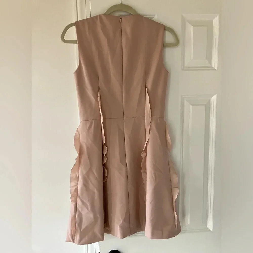Valentino Spa Pink Ruffle Skirt Dress, Sz 40 (US Small  4-6) - Picture 2 of 9